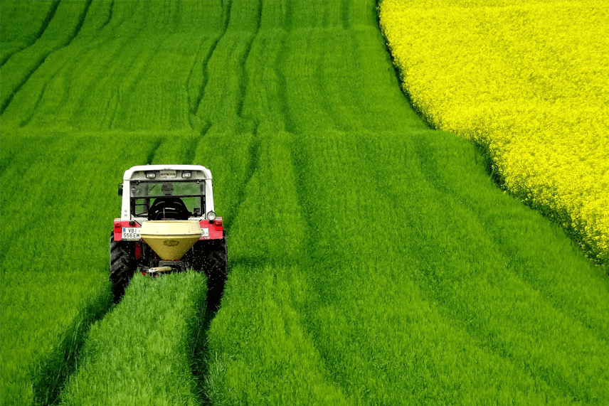 Labības lauks ar traktoru